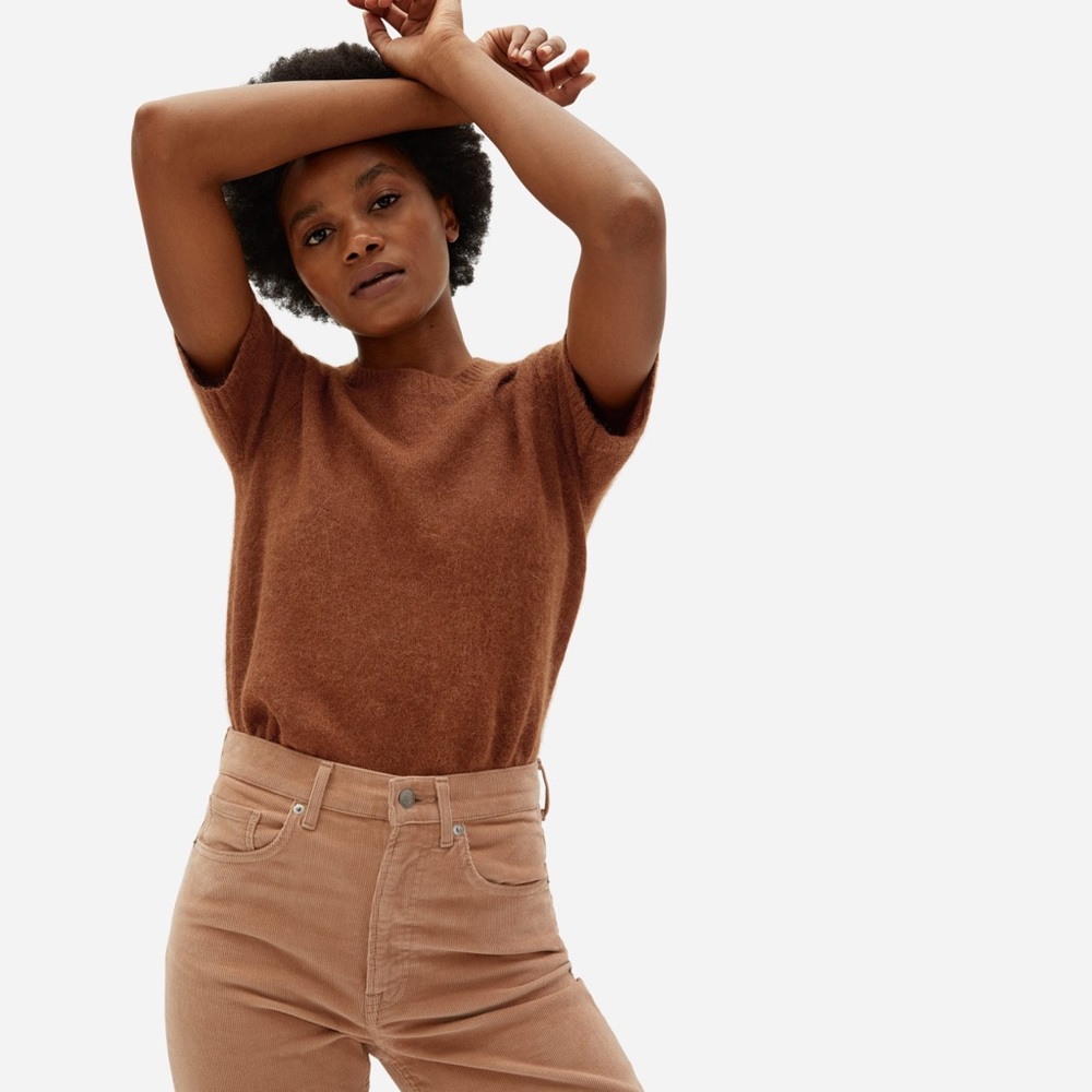 NWT Everlane The Alpaca Sweater Tee Small